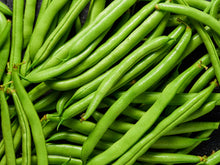 Load image into Gallery viewer, Bean, Greencrop