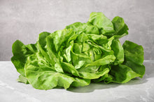 Load image into Gallery viewer, Lettuce, Buttercrunch
