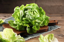 Load image into Gallery viewer, Lettuce, Buttercrunch