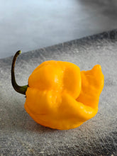Load image into Gallery viewer, Pepper, Carolina Reaper
