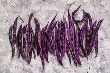 Load image into Gallery viewer, Bean, Royalty Purple Pod