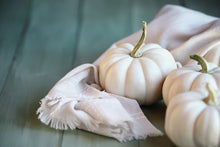 Load image into Gallery viewer, Pumpkin, Baby Boo