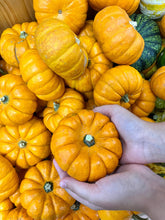 Load image into Gallery viewer, Pumpkin, Mini Mix