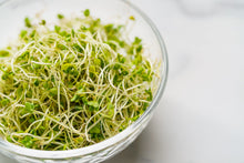 Load image into Gallery viewer, Broccoli, De Cicco - Organic