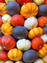 Load image into Gallery viewer, Pumpkin, Mini Mix