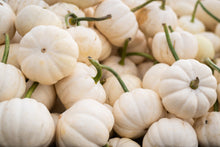 Load image into Gallery viewer, Pumpkin, Mini Mix