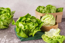 Load image into Gallery viewer, Lettuce, Bibb