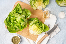Load image into Gallery viewer, Lettuce, Bibb
