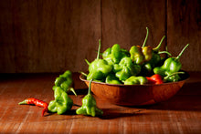Load image into Gallery viewer, Pepper, Cambuci