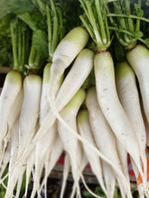 Load image into Gallery viewer, Radish, White Icicle