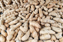 Load image into Gallery viewer, Peanut, Tennessee Red