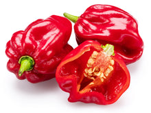 Load image into Gallery viewer, Pepper, Habanero Red