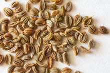 Load image into Gallery viewer, Parsley, Flat Leaf