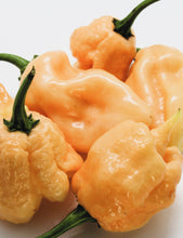 Load image into Gallery viewer, Pepper, Carolina Reaper Peach