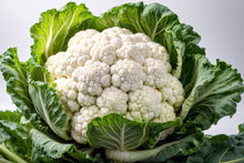 Load image into Gallery viewer, Cauliflower, Snowball Self Blanching