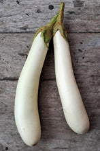 Load image into Gallery viewer, Eggplant, White Star Finger Fruit