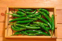 Load image into Gallery viewer, Pepper, Korean Dark Green