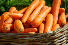 Load image into Gallery viewer, Carrot,  Scarlet Nantes