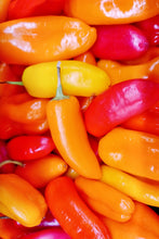 Load image into Gallery viewer, Pepper, Santa Fe Grande
