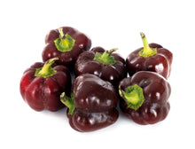 Load image into Gallery viewer, Pepper, Chocolate Beauty Bell
