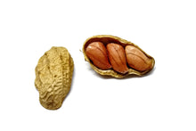 Load image into Gallery viewer, Peanut, Spanish