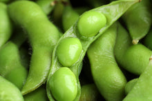 Load image into Gallery viewer, Soybean,  Edamame