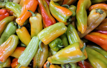 Load image into Gallery viewer, Pepper, Cubanelle