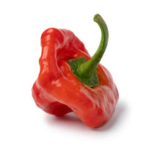 Load image into Gallery viewer, Pepper, Jamaican Hot Red