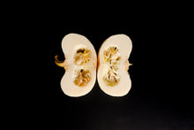 Load image into Gallery viewer, Pumpkin, Baby Boo