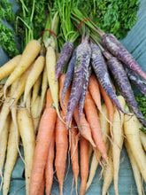 Load image into Gallery viewer, Carrot, Lunar White