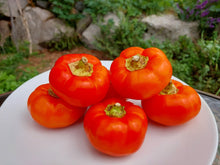 Load image into Gallery viewer, Pepper, Alma Paprika