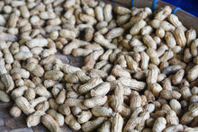 Load image into Gallery viewer, Peanut, Bailey II