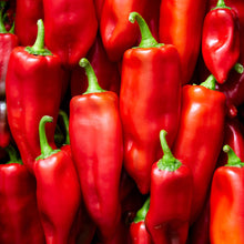 Load image into Gallery viewer, Pepper, Jimmy Nardello