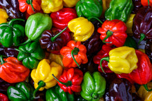Load image into Gallery viewer, Pepper, Habanero Mix