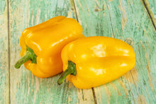 Load image into Gallery viewer, Pepper, Canary Bell Sweet