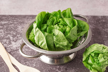 Load image into Gallery viewer, Lettuce, Bibb
