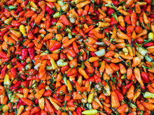 Load image into Gallery viewer, Pepper, Bird's Eye Chili