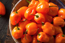 Load image into Gallery viewer, Pepper, Habanero Orange