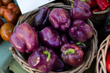 Load image into Gallery viewer, Pepper, Purple Beauty Bell