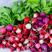 Load image into Gallery viewer, Radish, Easter Egg