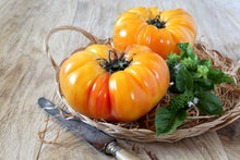 Load image into Gallery viewer, Tomato, Pineapple