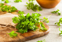 Load image into Gallery viewer, Parsley, Flat Leaf