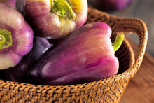 Load image into Gallery viewer, Pepper, Lilac Bell
