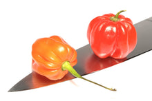 Load image into Gallery viewer, Pepper, Orange Scotch Bonnet