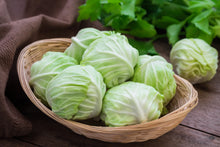 Load image into Gallery viewer, Cabbage, Copenhagen Market Early