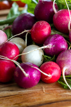 Load image into Gallery viewer, Radish, Easter Egg