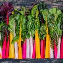 Load image into Gallery viewer, Swiss Chard, Northern Lights