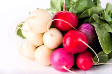 Load image into Gallery viewer, Radish, Easter Egg