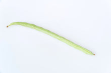 Load image into Gallery viewer, Bean, Kentucky Wonder Pole