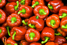 Load image into Gallery viewer, Pepper, Pimento